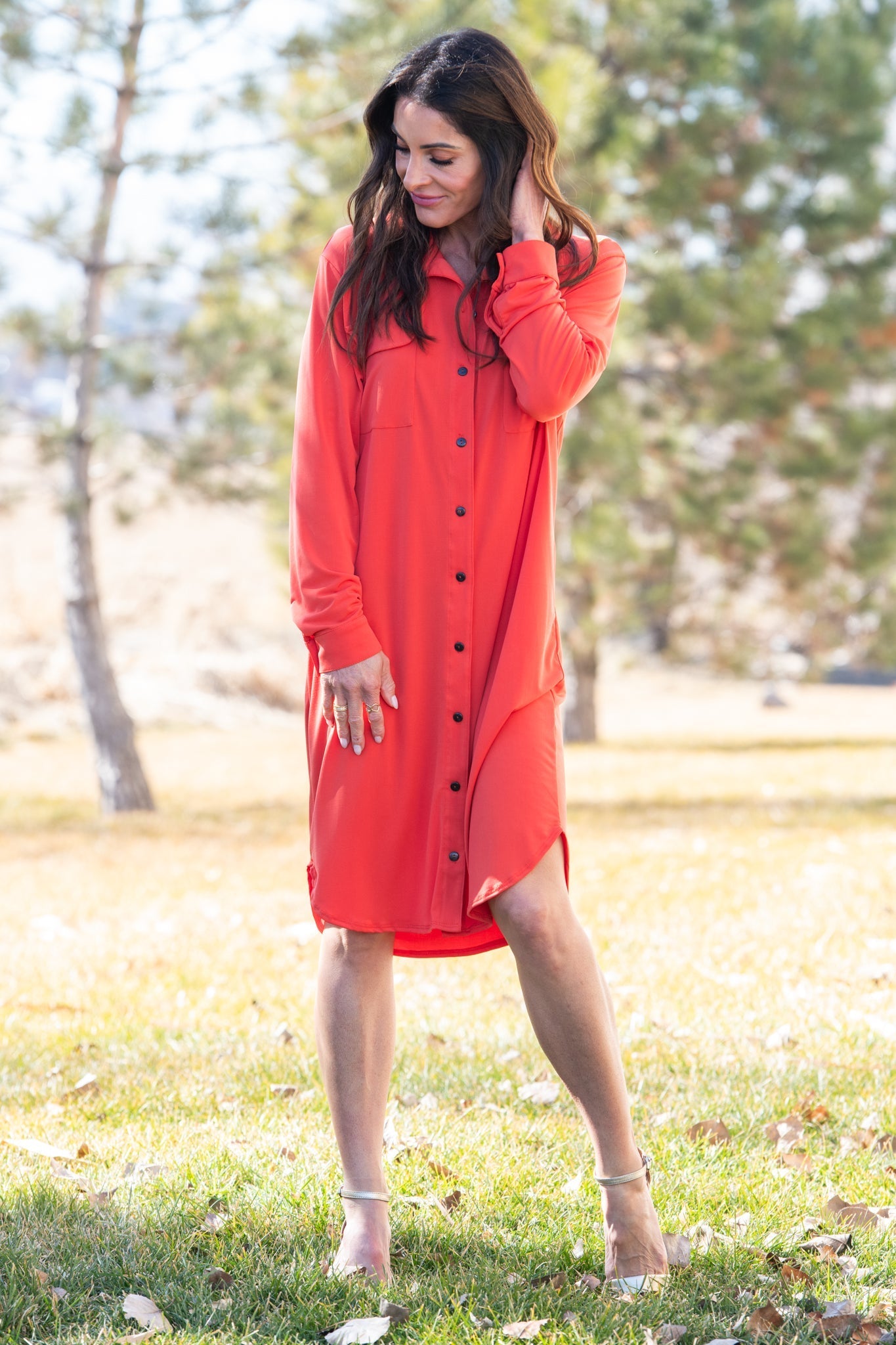 Brigitte Brianna Shirt Dress